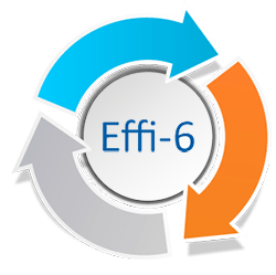 Effi-6 fullständig garanti
